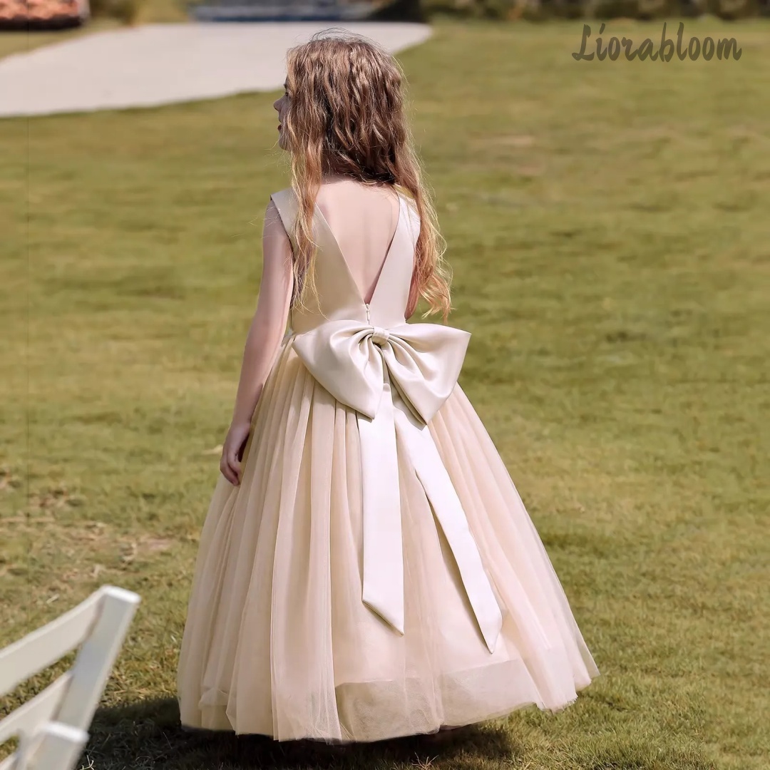 فستان أميرة متعدد الألوان بدون - مراجعة Formal Wear Gowns For Women وسعره